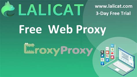 croxy proxy play store|Free web proxy and a cutting